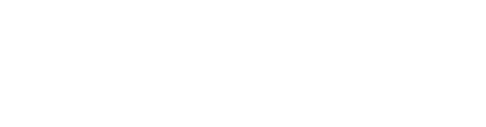 BlueWave Legal Solutions